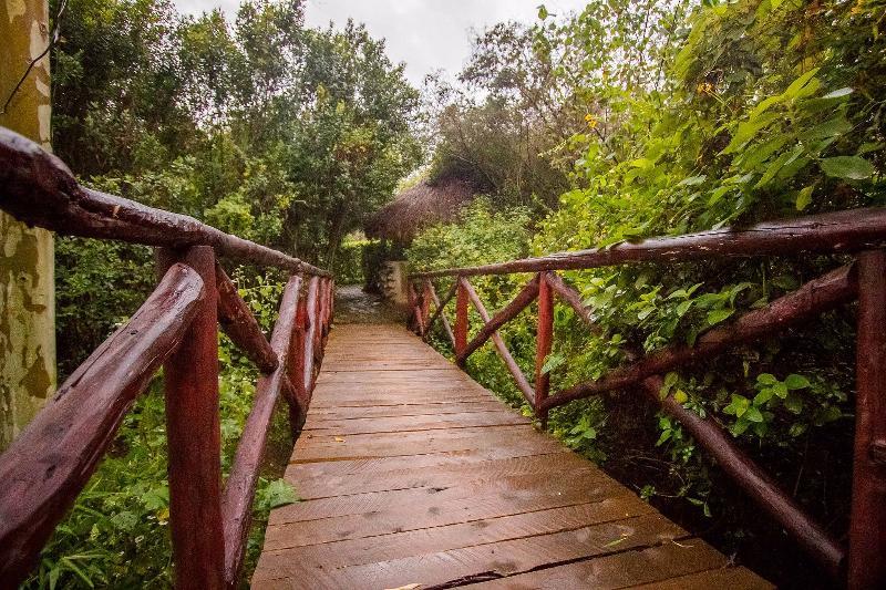 Dove Nest Lodge Naivasha Zewnętrze zdjęcie